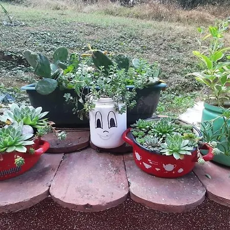 Apartment Pikolo Vb